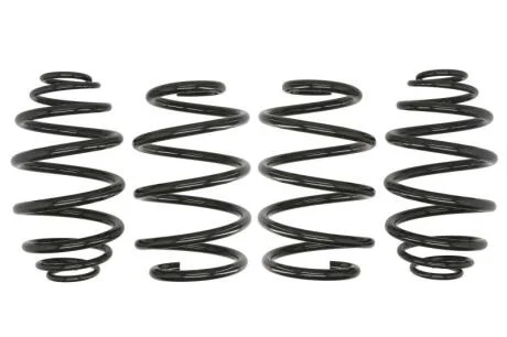 Пружины подвески, комплект EIBACH E10-25-014-01-22