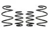Комплект занижених пружин EIBACH E10-25-033-01-22 (фото 1)