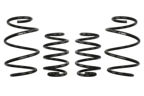 Комплект занижених пружин EIBACH E10-25-033-01-22