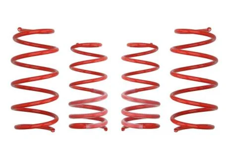 Комплект занижених пружин EIBACH E10-30-010-02-22