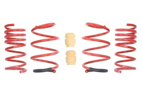 Комплект занижених пружин EIBACH E10-30-013-01-22