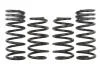 Комплект занижених пружин EIBACH E10-35-017-02-22 (фото 1)
