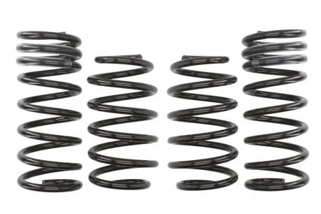 Комплект занижених пружин EIBACH E10-35-017-02-22