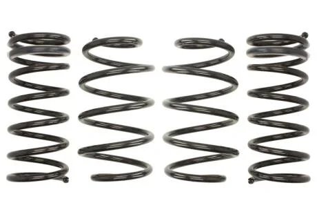 Комплект занижених пружин EIBACH E10-35-019-02-22