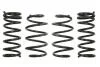Комплект занижених пружин EIBACH E10-35-019-04-22 (фото 1)