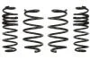 Комплект занижених пружин EIBACH E10-35-020-02-22 (фото 1)