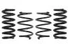 Комплект занижених пружин EIBACH E10-35-029-03-22 (фото 1)
