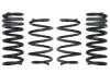 Комплект занижених пружин EIBACH E10-35-030-05-22 (фото 1)