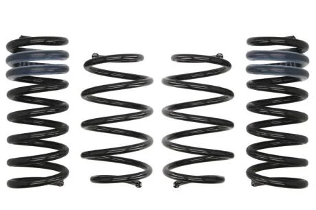 Комплект занижених пружин EIBACH E10-35-030-05-22