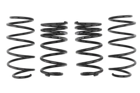 Комплект занижених пружин EIBACH E10-56-001-02-22