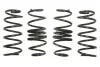 Комплект занижених пружин EIBACH E10-60-011-01-22 (фото 1)