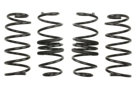 Комплект занижених пружин EIBACH E10-60-011-01-22