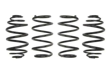 Комплект занижених пружин EIBACH E10-65-001-01-22