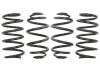 Комплект занижених пружин E10-65-011-01-22