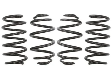 Комплект занижених пружин EIBACH E10-65-011-01-22