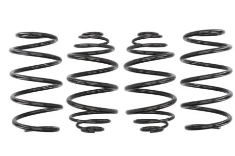 Комплект занижених пружин EIBACH E10-65-013-01-22