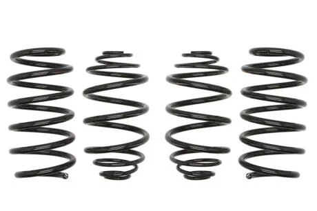 Комплект ходовой части, пружины EIBACH E10-65-013-02-22 (фото 1)