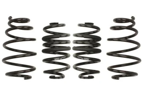 Комплект занижених пружин EIBACH E10-65-019-17-22