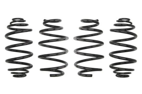 Комплект занижених пружин EIBACH E10-65-020-02-22