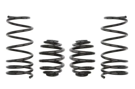 Комплект занижених пружин EIBACH E10-75-001-02-22