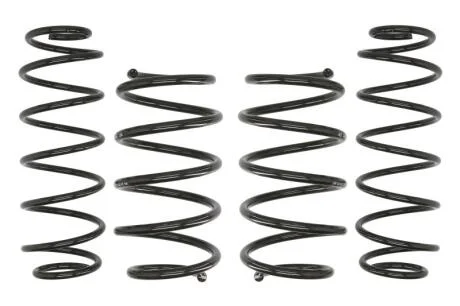 Комплект занижених пружин EIBACH E10-75-002-04-22