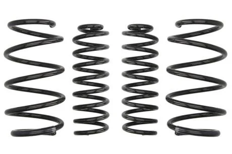 Комплект занижених пружин EIBACH E10-75-003-02-22