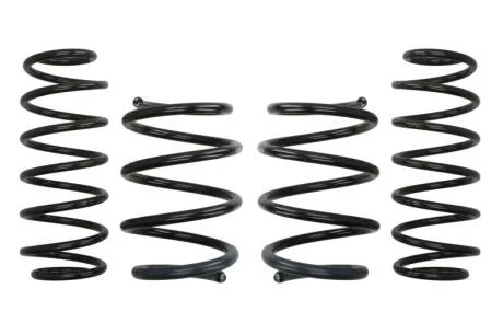 Комплект занижених пружин EIBACH E10-75-010-05-22