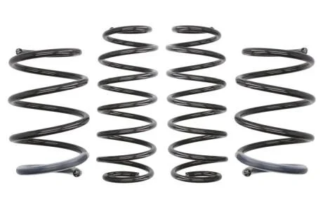Комплект занижених пружин EIBACH E10-75-010-06-22