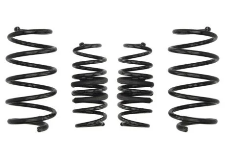 Комплект занижених пружин EIBACH E10-75-017-02-22