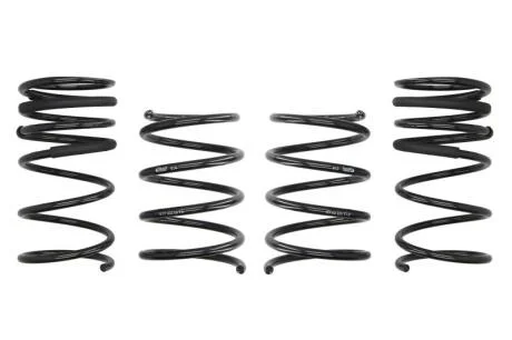 Комплект ходової частини, пружини EIBACH E10-77-002-04-22