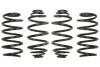 Комплект занижених пружин E10-78-003-01-22