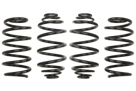 Комплект занижених пружин EIBACH E10-78-003-01-22