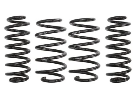 Комплект ходовой части, пружины EIBACH E10-79-004-02-22