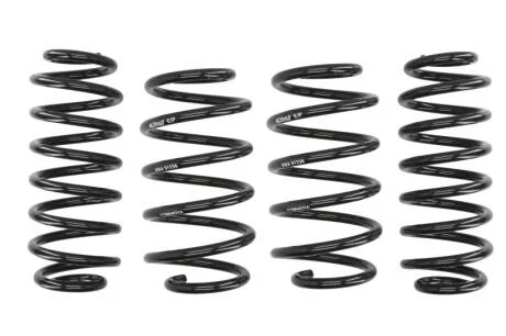 Комплект занижених пружин EIBACH E10-79-004-04-22