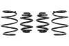 Комплект занижених пружин EIBACH E10-79-006-01-22 (фото 1)