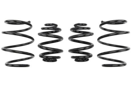 Комплект занижених пружин EIBACH E10-79-006-01-22