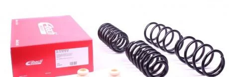 Комплект ходовой части, пружины EIBACH E10-79-010-02-22