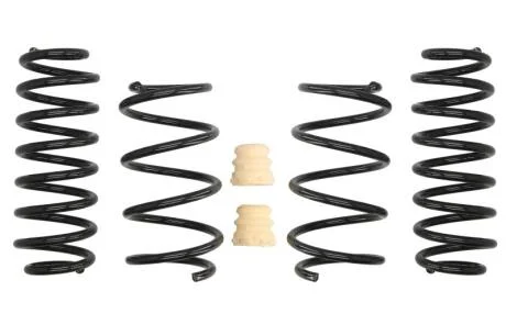 Комплект занижених пружин EIBACH E10-79-010-04-22