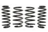 Комплект занижених пружин E10-81-009-05-22