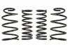 Комплект занижених пружин EIBACH E10-84-006-14-22 (фото 1)