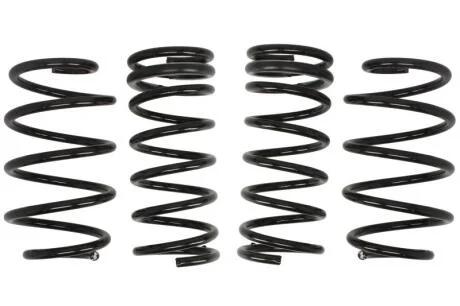 Комплект занижених пружин EIBACH E10-84-014-01-22