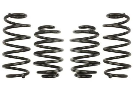 Комплект занижених пружин EIBACH E10-85-002-08-22