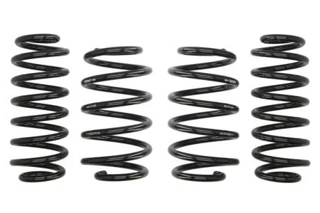 Комплект занижених пружин EIBACH E10-85-014-05-22