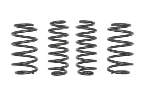 Комплект занижених пружин EIBACH E10-85-014-06-22
