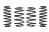 Комплект занижених пружин EIBACH E10-85-014-16-22 (фото 1)