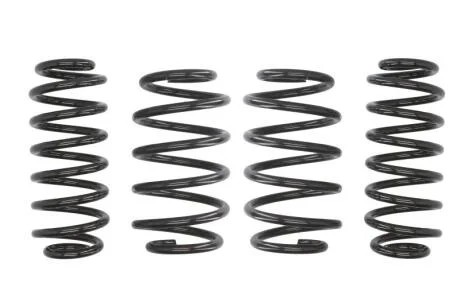 Комплект занижених пружин EIBACH E10-85-014-16-22