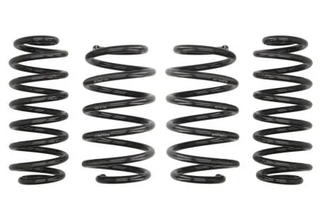 Занижуюча пружина EIBACH E10-85-015-07-22 (фото 1)