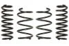 Комплект занижених пружин EIBACH E10-85-041-01-22 (фото 1)