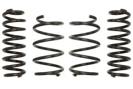 Комплект занижених пружин EIBACH E10-85-041-01-22