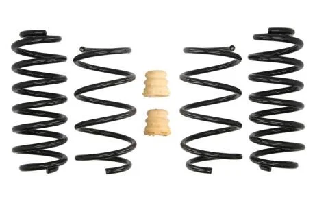 Комплект занижених пружин EIBACH E10-85-041-04-22